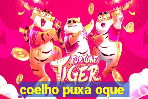 coelho puxa oque